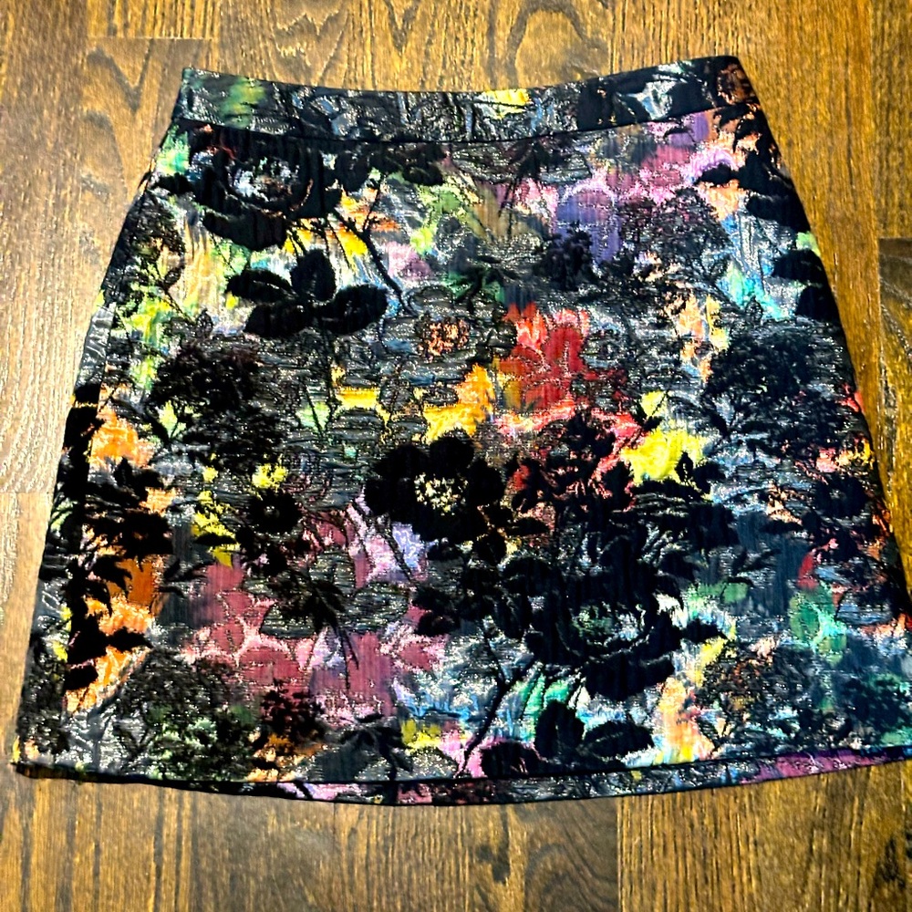 Alice and Olivia Skirt with embroidery detail. Size 6. Worn once
